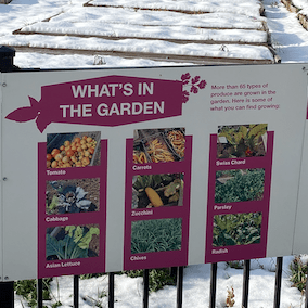 A sign outside a community garden says "What's in the garden"