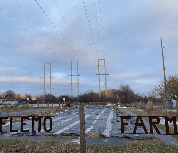 Flemo Farm