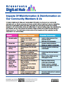 Impacts of Misinformation and Disinformation Handout image